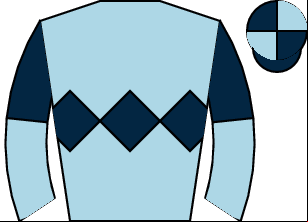 Horse silk