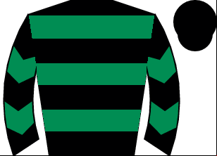Horse silk