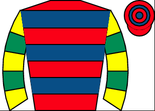 Horse silk