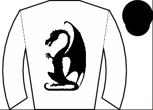 Horse silk