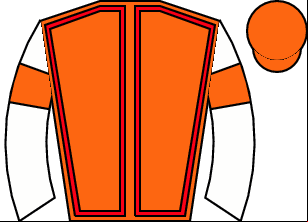 Horse silk