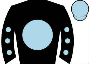 Horse silk