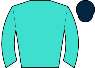 Horse silk