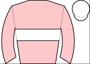 Horse silk