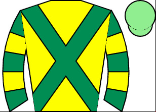 Horse silk