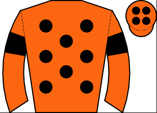 Horse silk